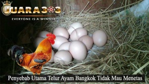 Telur Ayam Bangkok